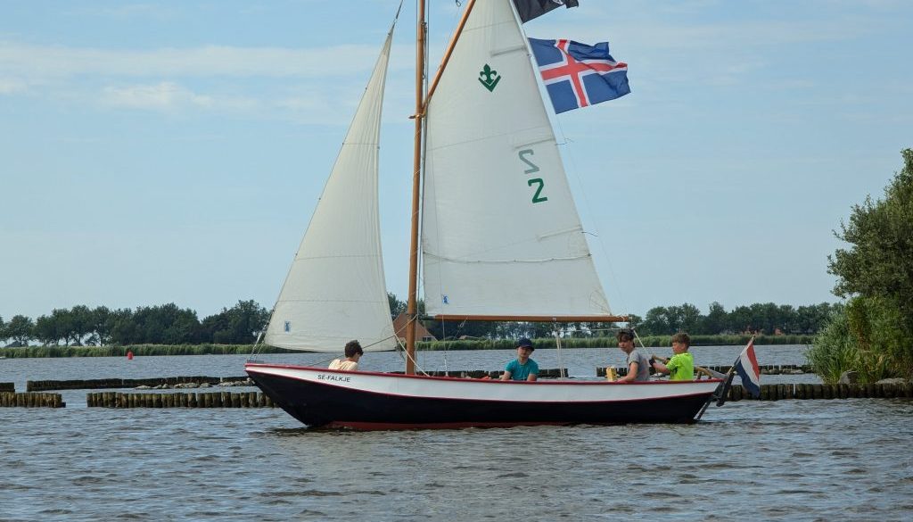 PXL_20240719_131905246